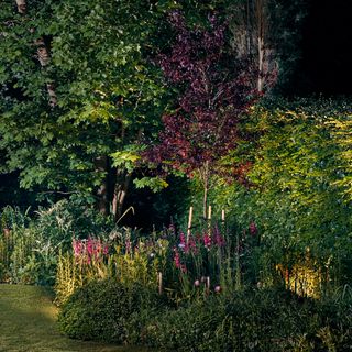 Garden at night showing lights in lush flower beds