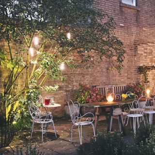 garden with lighting and plants